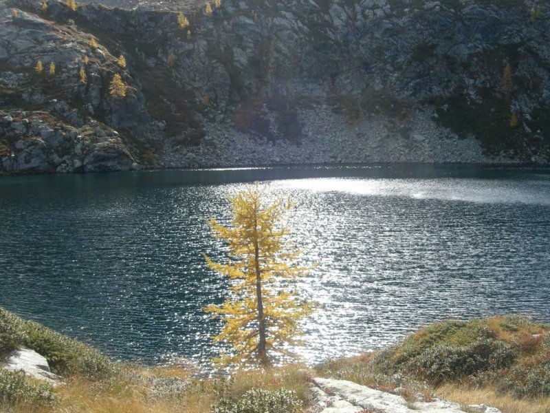 Santanel (Punta) da Outre l'Eve, anello per i Valloni della Legna e di  Vercoche - Escursionismo