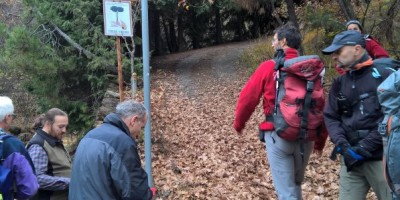 Val della Torre alla Bassa delle Sette e al Monte Rosselli 1201 m - 20-11-2016 ESCURSIONISMO ESTIVO 
