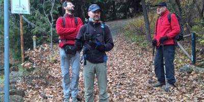 Val della Torre alla Bassa delle Sette e al Monte Rosselli 1201 m - 20-11-2016 ESCURSIONISMO ESTIVO 