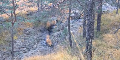 Val della Torre alla Bassa delle Sette e al Monte Rosselli 1201 m - 20-11-2016 ESCURSIONISMO ESTIVO 