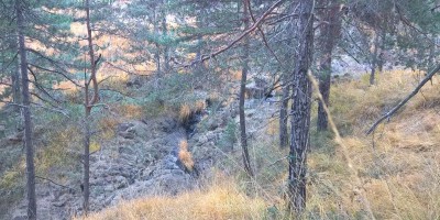 Val della Torre alla Bassa delle Sette e al Monte Rosselli 1201 m - 20-11-2016 ESCURSIONISMO ESTIVO 