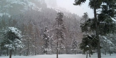 Rifugio Re Magi (1768 m) - 05-02-2017 ESCURSIONISMO INVERNALE 