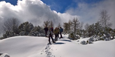 Monte Arpone (1602 m) - 05-03-2017 ESCURSIONISMO INVERNALE 