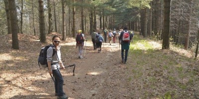 Stagno di Pre - (Sulla Serra d'Ivrea) - 09-04-2017 ESCURSIONISMO ESTIVO 