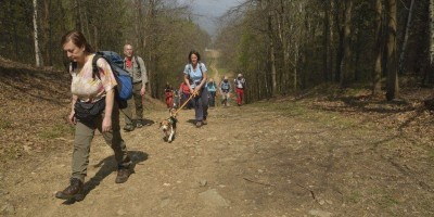 Stagno di Pre - (Sulla Serra d'Ivrea) - 09-04-2017 ESCURSIONISMO ESTIVO 