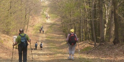Stagno di Pre - (Sulla Serra d'Ivrea) - 09-04-2017 ESCURSIONISMO ESTIVO 