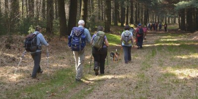 Stagno di Pre - (Sulla Serra d'Ivrea) - 09-04-2017 ESCURSIONISMO ESTIVO 