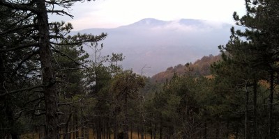 Val della Torre alla Bassa delle Sette e al Monte Rosselli 1201 m - 20-11-2016 ESCURSIONISMO ESTIVO 