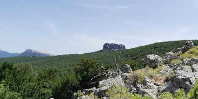 Viaggio in Sardegna –  OGLIASTRA (NU) - Escursioni giornaliere tra mare, supramontes e antichissime tradizioni - 22-06-2021 ESCURSIONISMO ESTIVO 