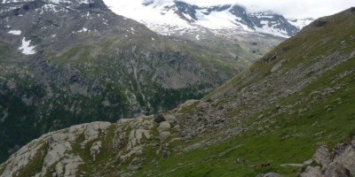 MONTE CHANDELLY (Valsavarenche) (2809 m) - 02-07-2017 ESCURSIONISMO ESTIVO 