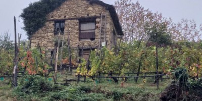 Sentiero eroico del Ramie – La viticoltura della Val Chisone - Percorso ad anello - 09-10-2022 ESCURSIONISMO ESTIVO 