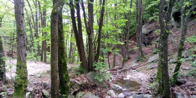 COLLE DELLA BESSA E CAPPELLA DEI TRE DENTI (1343 m) - 14-05-2017 ESCURSIONISMO ESTIVO 
