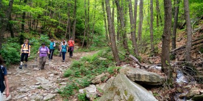 COLLE DELLA BESSA E CAPPELLA DEI TRE DENTI (1343 m) - 14-05-2017 ESCURSIONISMO ESTIVO 