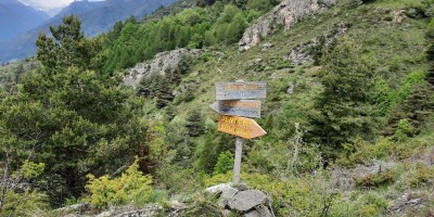 Sentieri Balcone e Ginestre – Valle Maira  - 06-06-2021 ESCURSIONISMO ESTIVO 