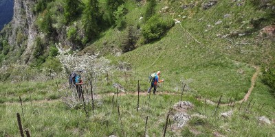 Sentieri Balcone e Ginestre – Valle Maira  - 06-06-2021 ESCURSIONISMO ESTIVO 