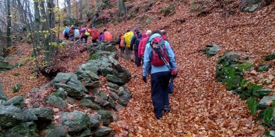 DALLA CERTOSA DI BANDA ALLA CERTOSA DI MONTE BENEDETTO 1149 m - 05-11-2017 ESCURSIONISMO ESTIVO 