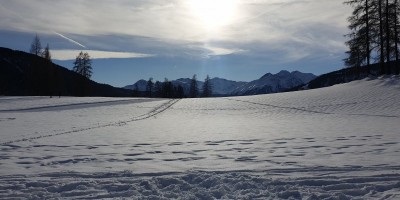 SETTIMANA BIANCA A SCHARNITZ
Regione 0limpica di SEEFELD (AUSTRIA – TIROLO ) - 28-12-2019 SETTIMANA BIANCA 