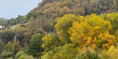 Percorso ad anello per i 5 laghi di Ivrea - 16-10-2022 ESCURSIONISMO ESTIVO 