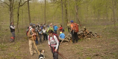 ESCURSIONE PARCO DEL BOSCO DELLE SORTI DELLA  PARTECIPANZA DI TRINO - 08-04-2018 ESCURSIONISMO ESTIVO 