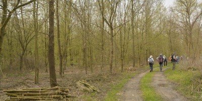 ESCURSIONE PARCO DEL BOSCO DELLE SORTI DELLA  PARTECIPANZA DI TRINO - 08-04-2018 ESCURSIONISMO ESTIVO 