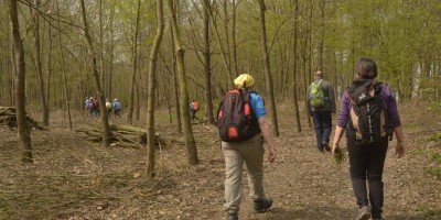 ESCURSIONE PARCO DEL BOSCO DELLE SORTI DELLA  PARTECIPANZA DI TRINO - 08-04-2018 ESCURSIONISMO ESTIVO 