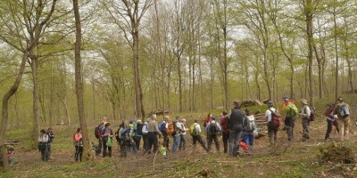 ESCURSIONE PARCO DEL BOSCO DELLE SORTI DELLA  PARTECIPANZA DI TRINO - 08-04-2018 ESCURSIONISMO ESTIVO 