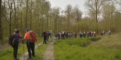 ESCURSIONE PARCO DEL BOSCO DELLE SORTI DELLA  PARTECIPANZA DI TRINO - 08-04-2018 ESCURSIONISMO ESTIVO 