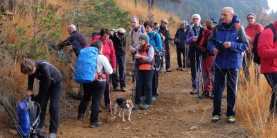 Val della Torre alla Bassa delle Sette e al Monte Rosselli 1201 m - 20-11-2016 ESCURSIONISMO ESTIVO 