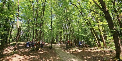 Escursione alle  Vette di Monte Isola - Trekking a Brescia – Lago Iseo (in collaborazione con GEAT) - 19-05-2024 ESCURSIONISMO ESTIVO 