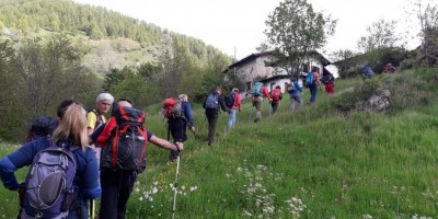 Cresta della Balma e vallone di Rodoretto Val Germanasca - 02-06-2024 ESCURSIONISMO ESTIVO 
