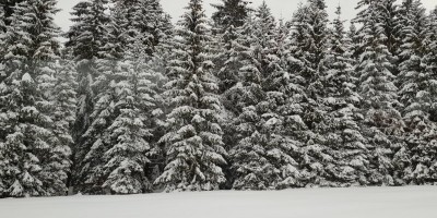Settimana bianca a SCHARNITZ (Austria-Tirolo) - 29-12-2018 SETTIMANA BIANCA 