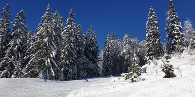 SETTIMANA BIANCA A SCHARNITZ
Regione 0limpica di SEEFELD (AUSTRIA – TIROLO ) - 28-12-2019 SETTIMANA BIANCA 