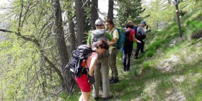 Cresta della Balma e vallone di Rodoretto Val Germanasca - 02-06-2024 ESCURSIONISMO ESTIVO 