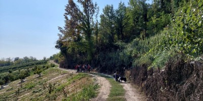 Due passi nelle Rocche del Roero (anticipata al 10/10) - 10-10-2021 ESCURSIONISMO ESTIVO 