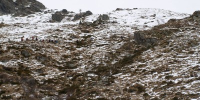 COLLE D’ATTIA E MONTE PLU’ (Val D’Ala) (2200 m)
	Gita proposta dal Gruppo Giovanile da svolgersi in collaborazione 
 - 07-05-2017 ESCURSIONISMO ESTIVO 