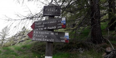 Cresta della Balma e vallone di Rodoretto Val Germanasca - 02-06-2024 ESCURSIONISMO ESTIVO 