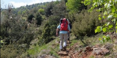 GRAN GIRO IN BASSA VAL DI SUSA (Valli del Casternone, Messa, Sessi, Dora) - 29-04-2017 ESCURSIONISMO ESTIVO 