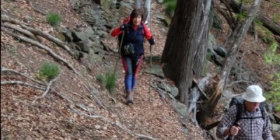 GRAN GIRO IN BASSA VAL DI SUSA (Valli del Casternone, Messa, Sessi, Dora) - 29-04-2017 ESCURSIONISMO ESTIVO 