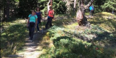 Anticima Monte Meabé 2312 m (sopra Torgnon) - 29-09-2019 ESCURSIONISMO ESTIVO 