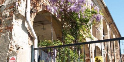 Castagneto da Po - 31-03-2019 ESCURSIONISMO ESTIVO 
