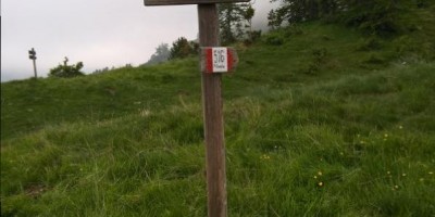 UET 125 - Colle Aciano e Rifugio Toesca - 18-06-2017 ESCURSIONISMO ESTIVO 