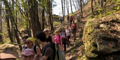 LA FAGGETA DEL VALLONE DI GRAN DUBBIONE (Pinerolese) - 22-04-2018 ESCURSIONISMO ESTIVO 