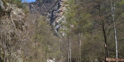 LA FAGGETA DEL VALLONE DI GRAN DUBBIONE (Pinerolese) - 22-04-2018 ESCURSIONISMO ESTIVO 
