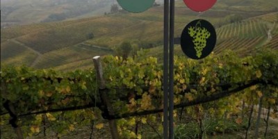 TRA I COLLI DEL NEBBIOLO: Barolo – Monforte d’Alba – Novello – Barolo  - 28-10-2018 ESCURSIONISMO ESTIVO 