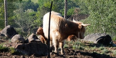 GRAN GIRO IN BASSA VAL DI SUSA (Valli del Casternone, Messa, Sessi, Dora) - 29-04-2017 ESCURSIONISMO ESTIVO 