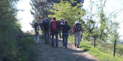 GRAN GIRO IN BASSA VAL DI SUSA (Valli del Casternone, Messa, Sessi, Dora) - 29-04-2017 ESCURSIONISMO ESTIVO 
