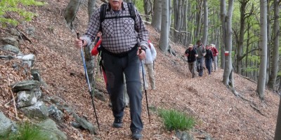 GRAN GIRO IN BASSA VAL DI SUSA (Valli del Casternone, Messa, Sessi, Dora) - 29-04-2017 ESCURSIONISMO ESTIVO 