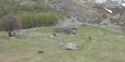 COLLE D’ATTIA E MONTE PLU’ (Val D’Ala) (2200 m)
	Gita proposta dal Gruppo Giovanile da svolgersi in collaborazione 
 - 07-05-2017 ESCURSIONISMO ESTIVO 
