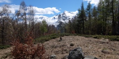 COLLE D’ATTIA E MONTE PLU’ (Val D’Ala) (2200 m)
	Gita proposta dal Gruppo Giovanile da svolgersi in collaborazione 
 - 07-05-2017 ESCURSIONISMO ESTIVO 