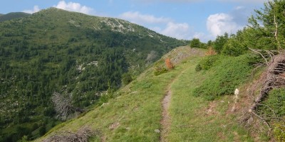 TREKKING SULLE ALPI DEL SOLE – dal Parco del Marguareis al Parco delle Alpi Liguri	 - 04-08-2018 TREKKING ESTIVI 